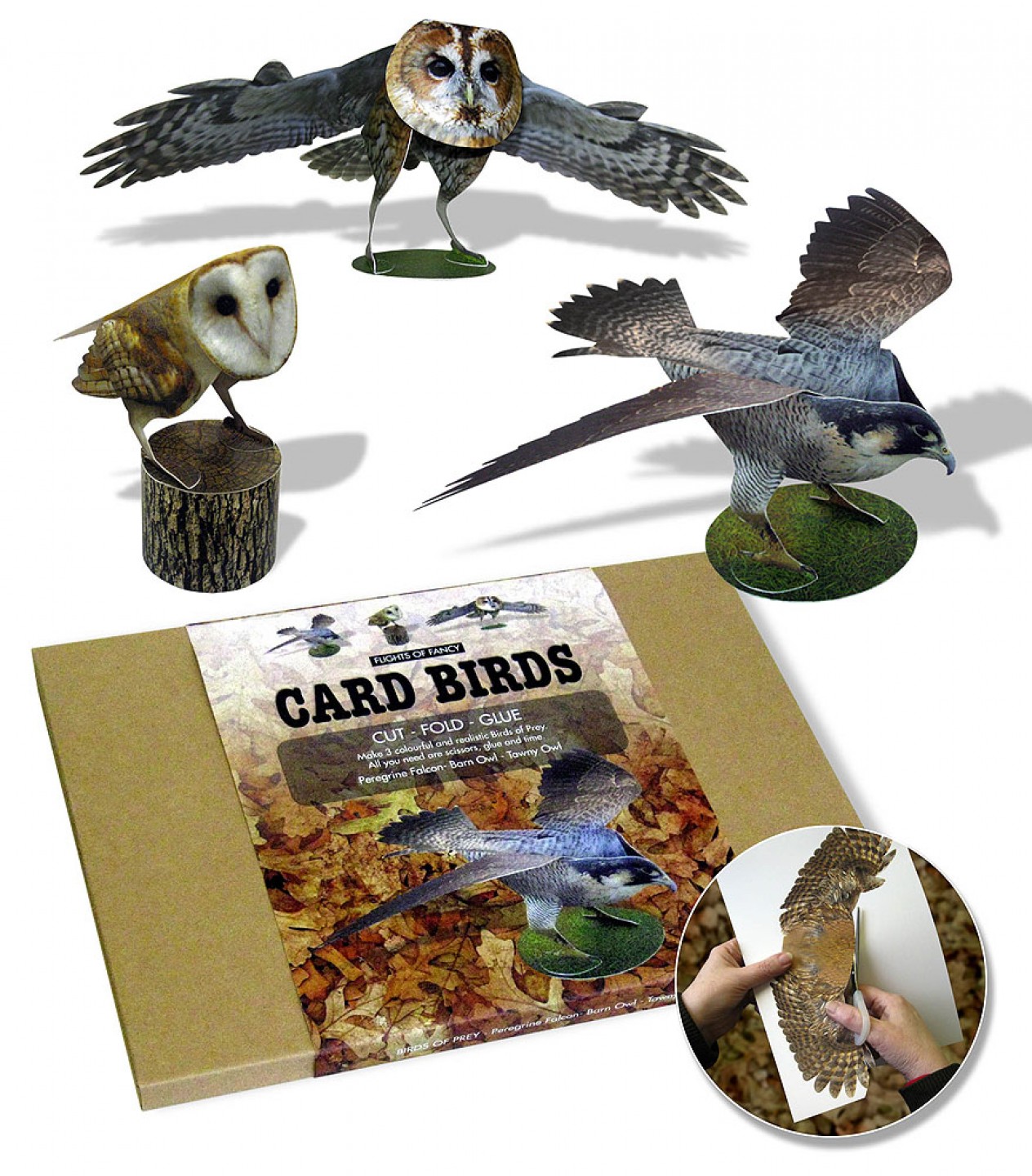 Birds Of Prey Card Birds