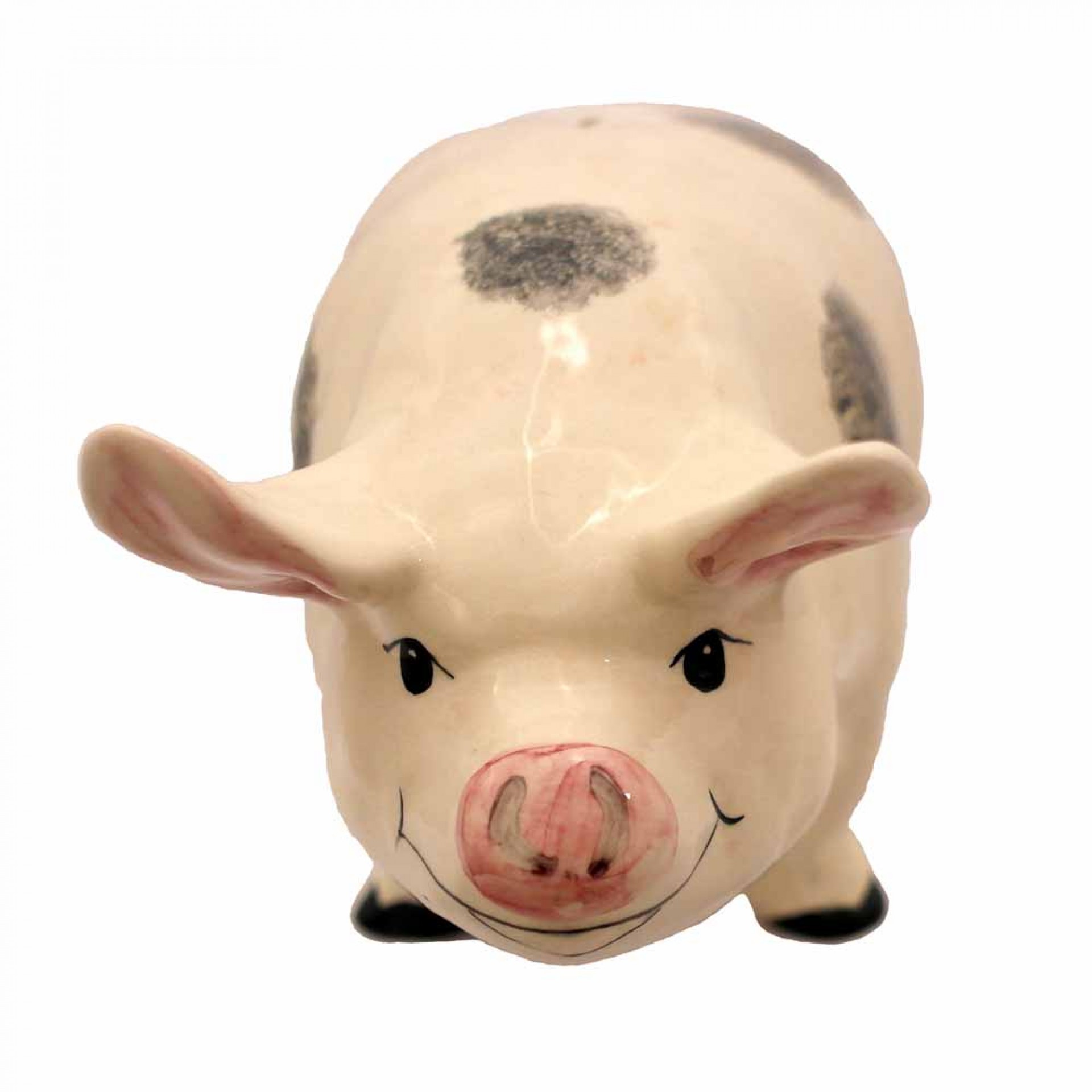 Large Pig Money Box