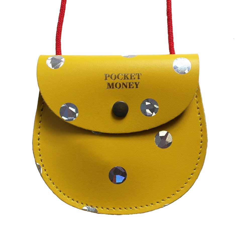 ark pocket money purse